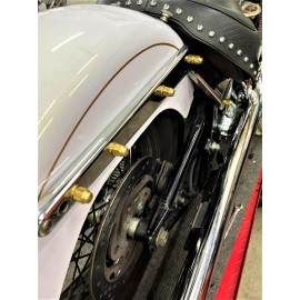 DIY Harley Softail Fat Boy Lo FLSTFB 2008-up Brass Top Hat Rear Fender Bolts 715