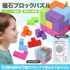 MAGTRE Magnetic Blocks 3D Puzzle (Multicolor)