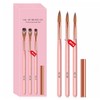 Acrylic Nail Art Brushes - 3Pcs Precision Nail Carving Pen