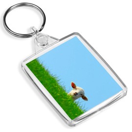 Cheeky Spring Lamb Keyring - IP02 - Sheep Baby Farm Animal Funny #15582