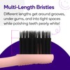 BURST Genuine Replacement Heads for Original Sonic Electric Toothbrush (Rose