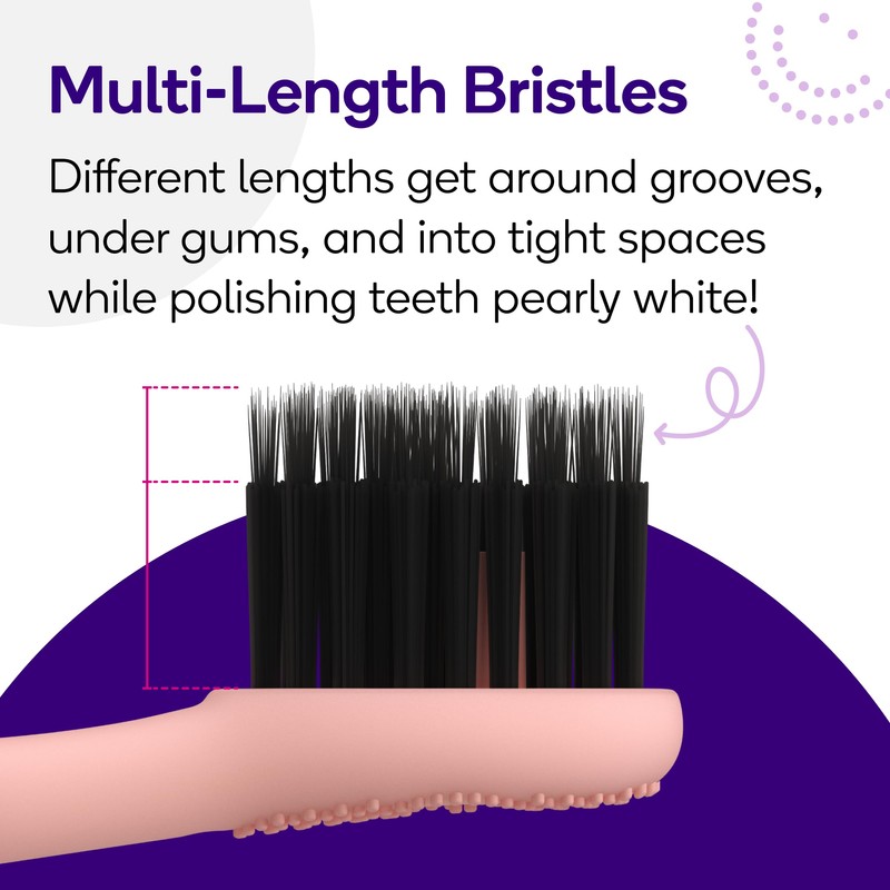 BURST Genuine Replacement Heads for Original Sonic Electric Toothbrush (Rose