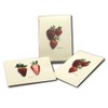 Earth Sky + Water - Strawberry Assortment Notecard Set - 8 Blank Cards with Envelopes (4 each of 2 styles)