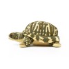 Plush Box Turtle Toy, Realistic Stuffed Animal, Soft Gift 12"