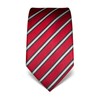 Vincenzo Boretti Men's Tie Pure Silk Striped Elegant Men's Design