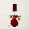 푸드올로지 마인드풀 레드비트 진저샷, 300g, 1개 Foodology Mindful Red Beet