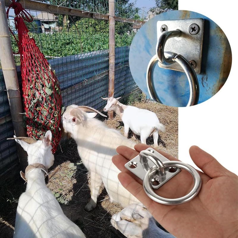 Shengsenfu Weaver Leather Tie Ring Plate, Zinc Plated Wall Mount