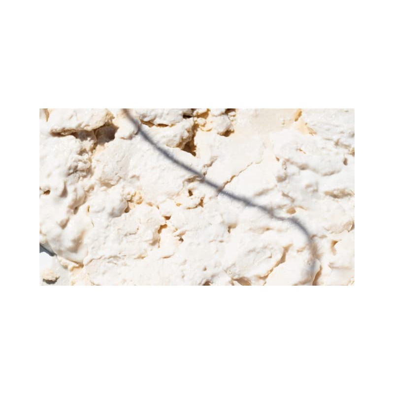 SHIRO Sakasu BB Serum (No Box) 1.1 oz (30 g)