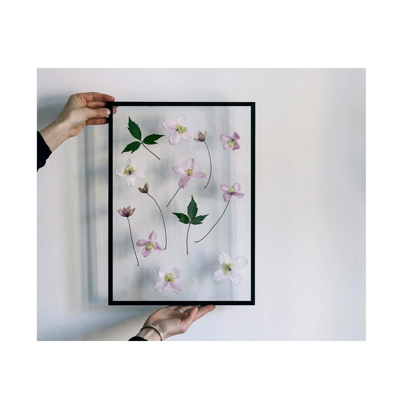 moebe mu-be Frame A4 Black