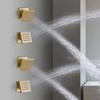 Brushed Gold 4 Pack HOMEDEC 2inch Brass Square Massage Shower