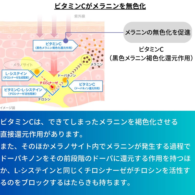 【第3類医薬品】トランシーノ ホワイトCクリア 60錠