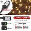 FairyGlim Christmas Lights Outdoor 100LED 33FT, Green Wire Connectable Christmas