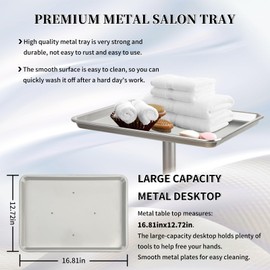 Salon Tray on Wheels, Hair Color Tray Salon Service Rolling Cart with Adjustable Height, Metal Tattoo Trolley Tray for Spa&Home Use, Silver