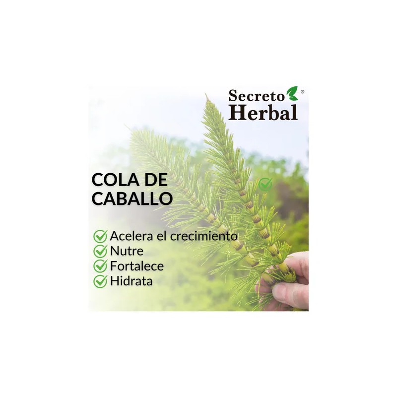 6 Pz Secreto Herbal Acondicionador Cola De Caballo Y Jalea