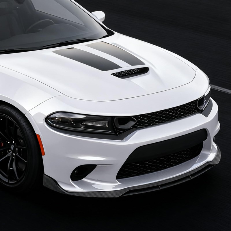 Femibon Front Bumper Lip Splitter Spoiler Compatible with Dodge Charger
