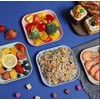 WOIWO 4PCS Wheat Straw Tableware Spit Bone Plate Household Plastic