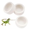 3 Pack Small Reptile Feeding Bowl Ceramic Food and Water