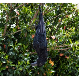 Dead Crow Deterrent Scare Away Crows - Fake Black Crow 17" Long