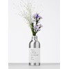 Peachberry 31℃ Mist 250ml / 피치베리 31도씨 미스트 250ml