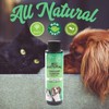 Stink Free UV Black Light Flashlight for Pet Urine Detection.