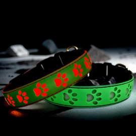 DOGLED Subversive USB-C led Light up Dog Collar, Subversive 3D Star Design Comfortable and Soft Material,Multicolored Lighting (S(11.8-15.7"), A-Green)