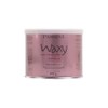 Passini Waxy Cera Depilatoria - 600 Gr