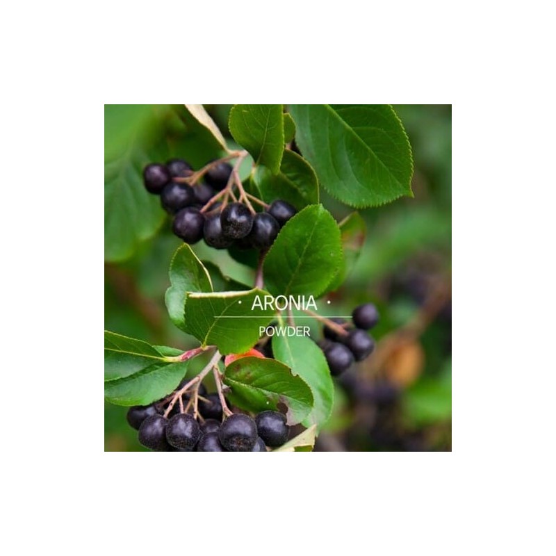 엄마애손 Mom's Son Aronia Powder 500g Domestic 100% Aronia Powder