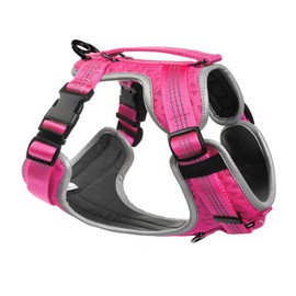 Embark Sports Dog Harness, Dog Harness for Small Medium Large Dogs No Pull with Light and Breathable Design - Handle for Control. Easy On and Off, Size Adjustable, Non Choke. Pink Vest