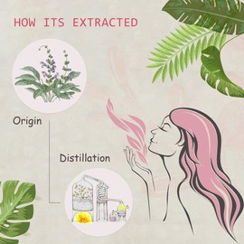 AOPING Clary Sage Essential Oil - 100% Pure Organic Natural Plant (Salvia sclarea) Clary Sage Oil for Diffuser, Aroma, Spa, Massage, Yoga, Perfume, 0.33oz