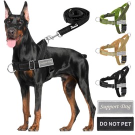 AUTOWT No Pull Dog Harness for Medium Large Dog, Tactical Dog Harness Vest and Leash Set, Adjustable Nylon Escape Proof and Quick Fit Pet Dog Harness for Dogs Walking Training (Black, L)