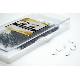 GorgeousLash 1000 Premade Lash Fans. 10D, 8D, 7D, 6D, 5D, 4D, 3D. Eyelash extensions, Handmade! (5D Curl D - 1000 Fans, 13mm)