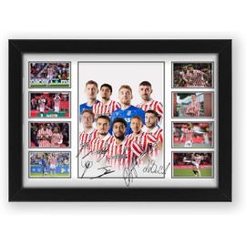 AllStarMedia Limited Edition Stoke City Football Club Autograph Signed Poster Print - Memorbilia Gift or Merchandise for Sport Fans (Unframed A3 (30x40cm))