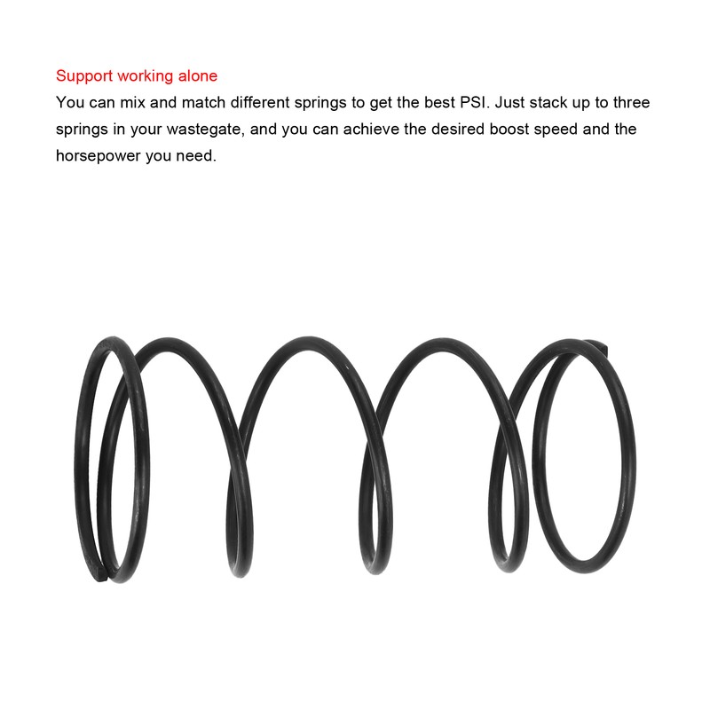 7PSI/14 PSI Coil Spring Flue Gas Valve Carbon Steel Replacement