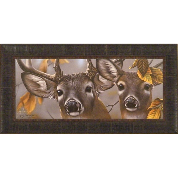 Up Close and Curious by Jerry Gadamus 14x28 Deer Buck Doe Famed Art Print Wall Décor Picture Signed and Numbered Limited Edition