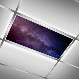 2PCS Fluorescent Light Covers for Classroom Ceiling Lights Magnetic Light Covers,Fluorescent Light Filters for School Home Office Drop Ceiling Lamp Decor Light Filters 4x2Feet(Dolphin)