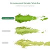 LeafCharm Matcha Pods - Nespresso Original Line Compatible
