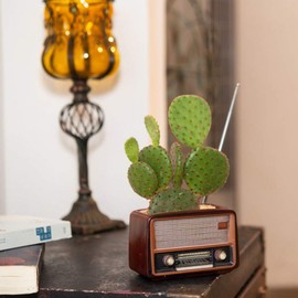 BESTOYARD Retro Creative Radio Shape Flower Pot Retro Flowerpot Succulent Flower Plant Container Desk Flower Pot Cactus Plant Pot