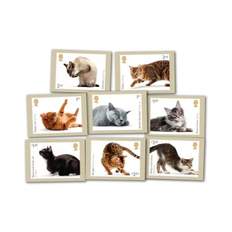 Royal Mail CATS, GINGER CAT PLAYING, ORIGINAL ROYAL MAIL POSTCARD