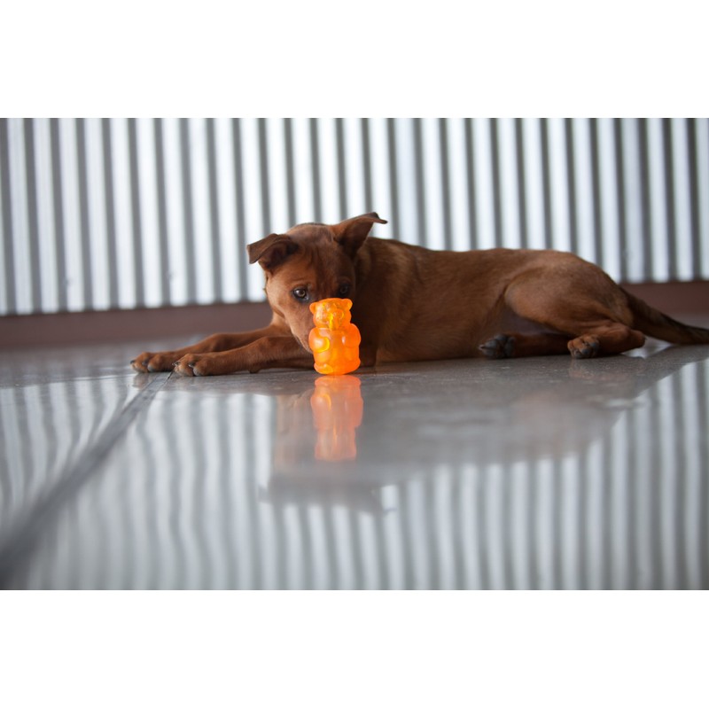 KONG Squeezz Jels Juguete Sonajero con Forma de Castor para