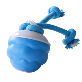 Interactive Dog Toys Ball, Automatic Moving Rolling Pet Toy with Touch Activated, Active Rolling Ball Products for Puppy Small Medium Dogs, Squeaky, USB Rechargeable, Keep Them Busy (Blue)