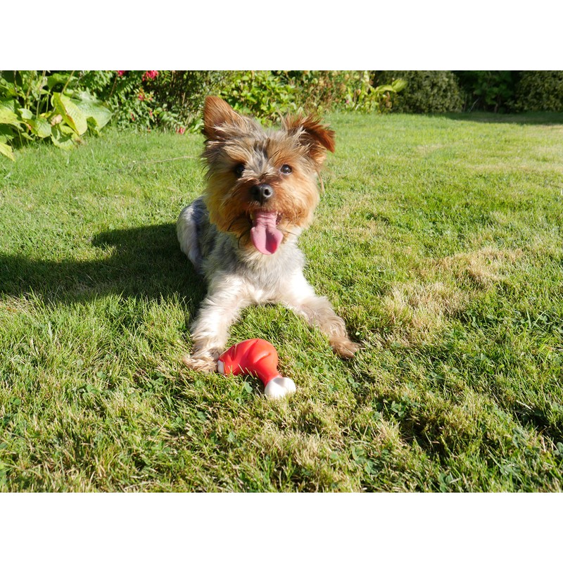 Rosewood Meaty Chicken Takeaway Leg Tough Dog Toy