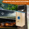 Smart Solar Birdhouse with Camera, 1080P HD Wireless Bird House