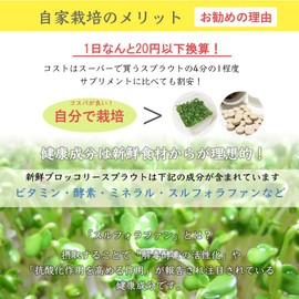 Broccoli Sprout Seeds, 20.1 fl oz (600 ml) (Seeds Only), Varieties Containing Sulforaphane