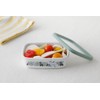 Fuji Hollow Moomin Flower Garden Shallow Square Container S