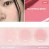 VIDIVICI Petal Glow Cream Blush/Illumination 6g, Color:02 Rosy Dahlia