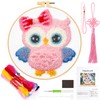JSRQT Kit Punch Needle Debutant Owl Punch Needle Embroidery Starter