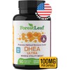 DHEA 100mg Daily Supplement for Men and Women – Promotes