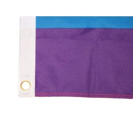 Trade Winds 3x5 Gay Lesbian Rainbow Striped Smiley face Flag 3'x5' House Banner Grommets Premium Fade Resistant