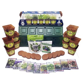 Sustainable Windowsill Herb Garden Kit - 10-Pack Assortment of Non-GMO, Heirloom Herb Seeds - Cilantro, Basil, Thyme, Parsley, Rosemary, Fennel & More - Includes Greenhouse, Labels, & Grow Guide
