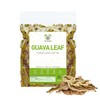 HERBALISTA - Té de hojas de guayaba enteras de cosecha